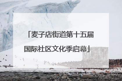麦子店街道第十五届国际社区文化季启幕