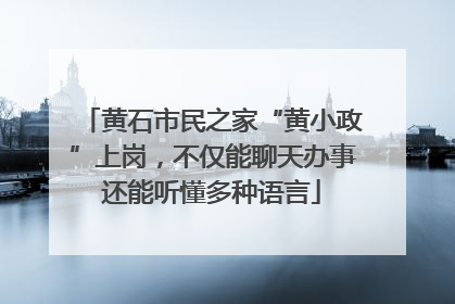 黄石市民之家“黄小政”上岗，不仅能聊天办事还能听懂多种语言