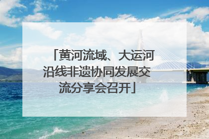黄河流域、大运河沿线非遗协同发展交流分享会召开