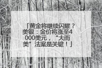 黄金将继续闪耀？美银：金价将涨至4000美元，“大而美”法案是关键！