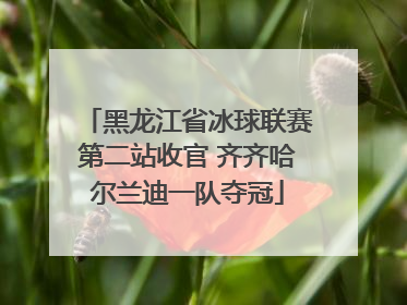 黑龙江省冰球联赛第二站收官 齐齐哈尔兰迪一队夺冠