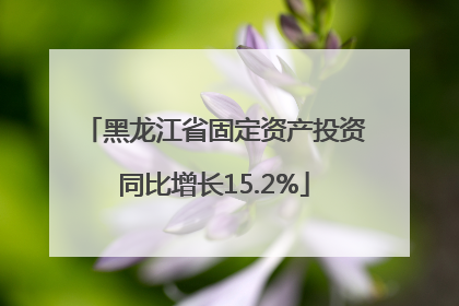 黑龙江省固定资产投资同比增长15.2%