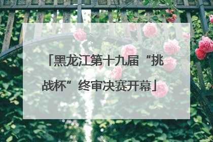 黑龙江第十九届“挑战杯”终审决赛开幕