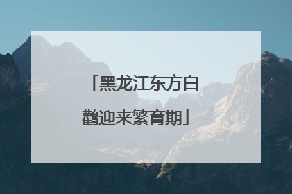 黑龙江东方白鹳迎来繁育期