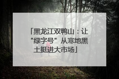 黑龙江双鸭山：让“绿字号”从寒地黑土挺进大市场