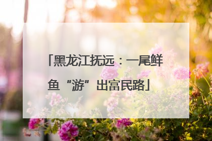 黑龙江抚远：一尾鲜鱼“游”出富民路