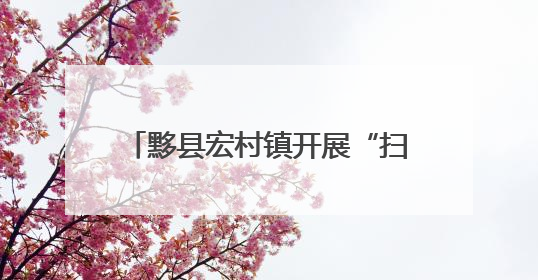 黟县宏村镇开展“扫黄打非”进校园活动