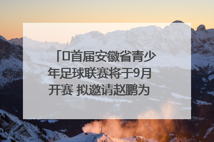 ﻿首届安徽省青少年足球联赛将于9月开赛 拟邀请赵鹏为先导赛开球