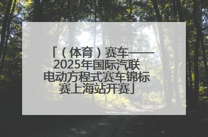 （体育）赛车——2025年国际汽联电动方程式赛车锦标赛上海站开赛