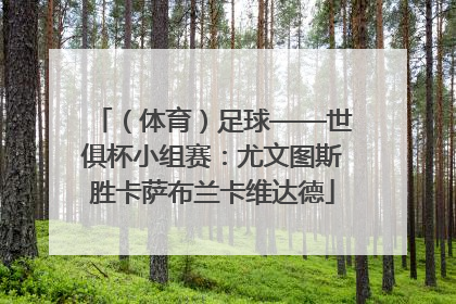 （体育）足球——世俱杯小组赛：尤文图斯胜卡萨布兰卡维达德