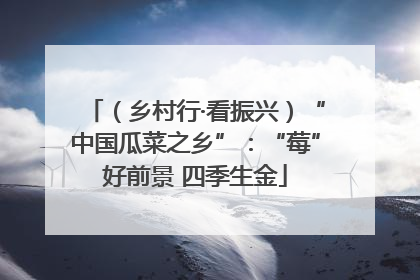 （乡村行·看振兴）“中国瓜菜之乡”：“莓”好前景 四季生金