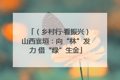 （乡村行·看振兴）山西襄垣：向“林”发力 借“绿”生金