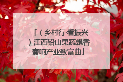 （乡村行·看振兴）江西铅山果蔬飘香 奏响产业致富曲