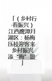 （乡村行·看振兴）江西鹰潭月湖区：杨梅压枝迎客来 乡村振兴添“梅”景
