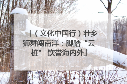 （文化中国行）壮乡狮舞闯南洋：脚踏“云桩” 饮誉海内外