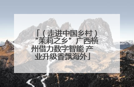（走进中国乡村）“茉莉之乡”广西横州借力数字智能 产业升级香飘海外