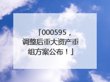 000595，调整后重大资产重组方案公布！