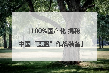 100%国产化 揭秘中国“蓝盔”作战装备