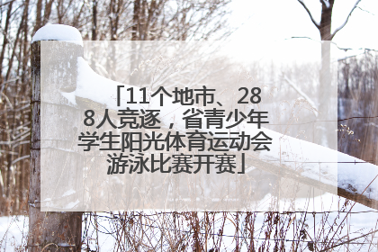 11个地市、288人竞逐，省青少年学生阳光体育运动会游泳比赛开赛