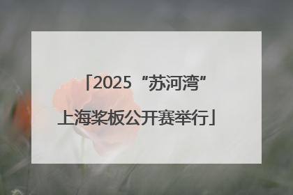 2025“苏河湾”上海桨板公开赛举行