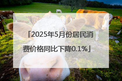 2025年5月份居民消费价格同比下降0.1%