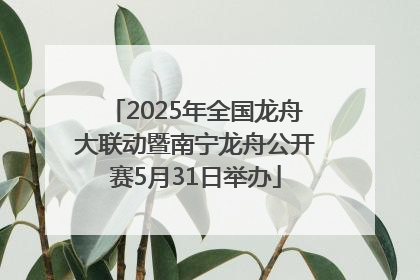 2025年全国龙舟大联动暨南宁龙舟公开赛5月31日举办