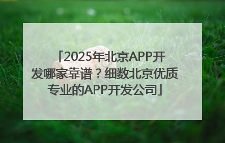 2025年北京APP开发哪家靠谱？细数北京优质专业的APP开发公司