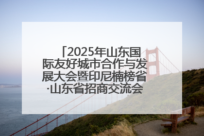 2025年山东国际友好城市合作与发展大会暨印尼楠榜省·山东省招商交流会在济南槐荫举行