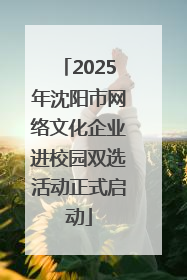 2025年沈阳市网络文化企业进校园双选活动正式启动