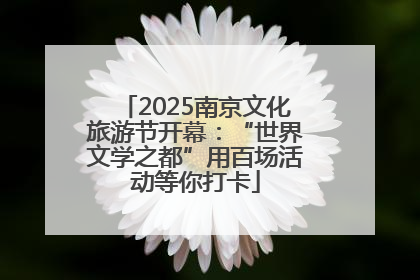 2025南京文化旅游节开幕：“世界文学之都”用百场活动等你打卡