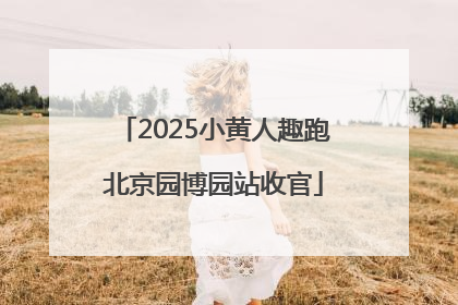 2025小黄人趣跑北京园博园站收官