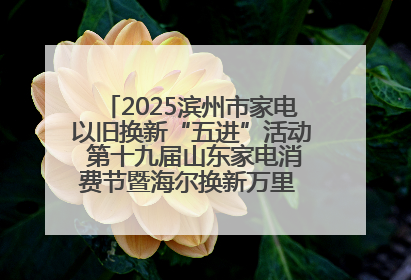 2025滨州市家电以旧换新“五进”活动 第十九届山东家电消费节暨海尔换新万里 行山东站全面启动