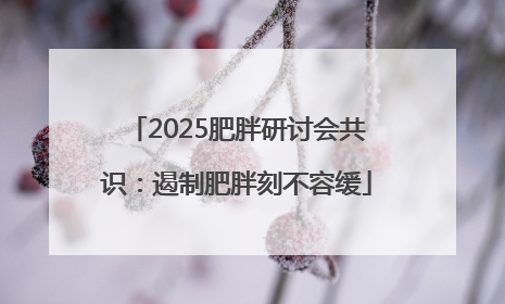 2025肥胖研讨会共识：遏制肥胖刻不容缓