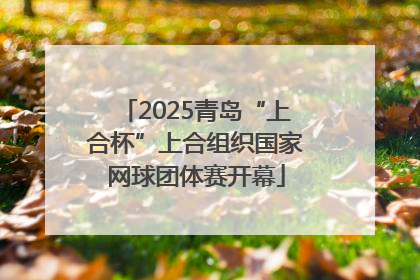 2025青岛“上合杯”上合组织国家网球团体赛开幕