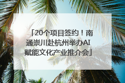 20个项目签约！南通崇川赴杭州举办AI赋能文化产业推介会