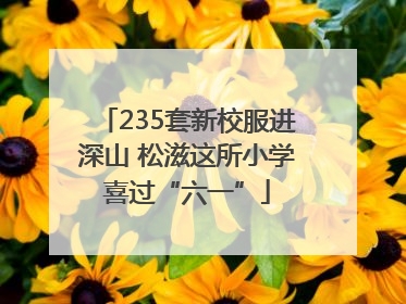 235套新校服进深山 松滋这所小学喜过“六一”