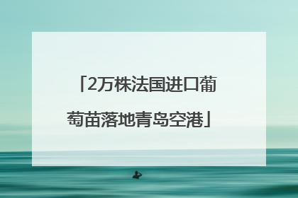 2万株法国进口葡萄苗落地青岛空港