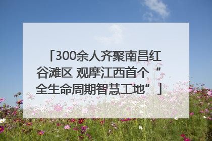 300余人齐聚南昌红谷滩区 观摩江西首个“全生命周期智慧工地”