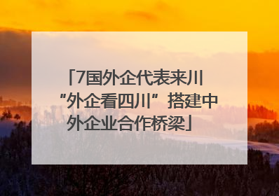 7国外企代表来川 “外企看四川”搭建中外企业合作桥梁