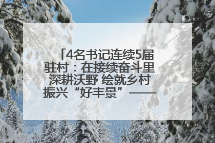 4名书记连续5届驻村：在接续奋斗里深耕沃野 绘就乡村振兴“好丰景”——浦发银行南京分行助力脱贫攻坚、帮促乡村振兴记事（二）
