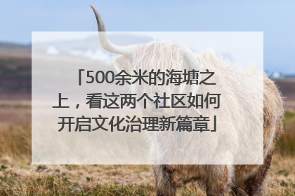 500余米的海塘之上，看这两个社区如何开启文化治理新篇章