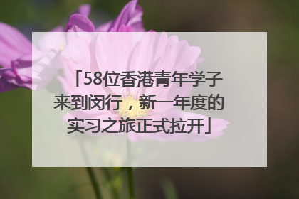 58位香港青年学子来到闵行，新一年度的实习之旅正式拉开