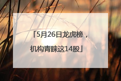 5月26日龙虎榜，机构青睐这14股