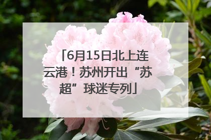6月15日北上连云港！苏州开出“苏超”球迷专列