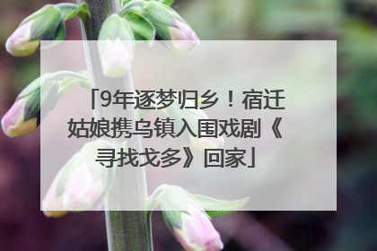 9年逐梦归乡！宿迁姑娘携乌镇入围戏剧《寻找戈多》回家