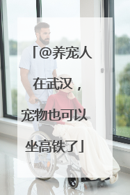 @养宠人 在武汉，宠物也可以坐高铁了