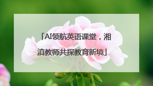 AI领航英语课堂，湘滇教师共探教育新境