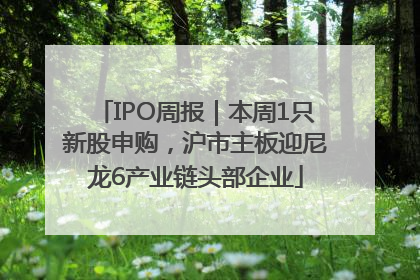 IPO周报｜本周1只新股申购，沪市主板迎尼龙6产业链头部企业